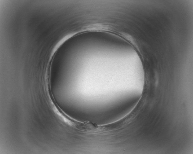 X0000080661387200612151120