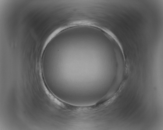 X0000080661389200612151120