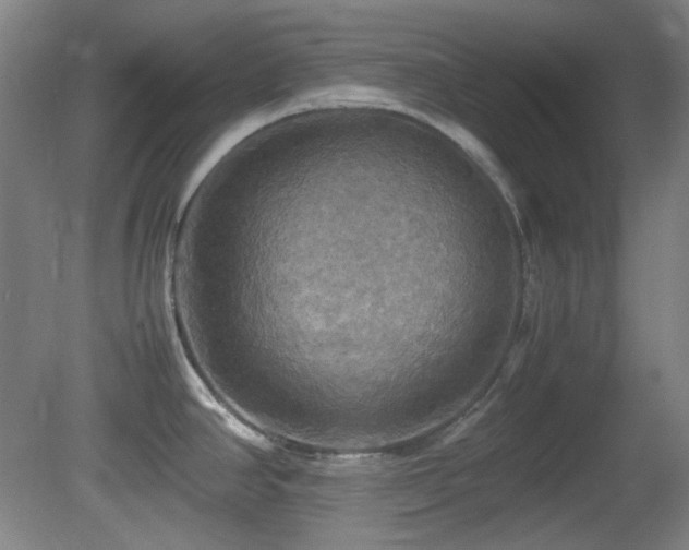 X0000080661390200612151120