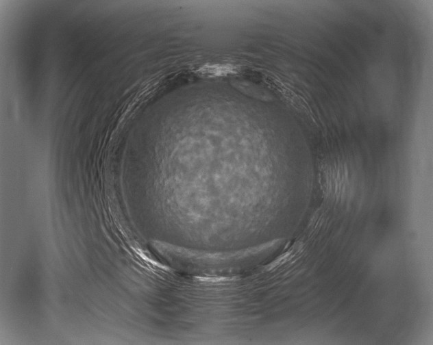 X0000080661393200612151119