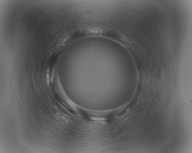 X0000080661394200612151119