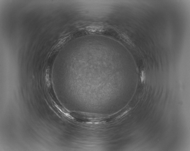 X0000080661396200612151119
