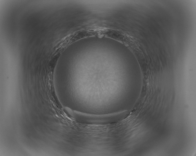 X0000080661397200612151119