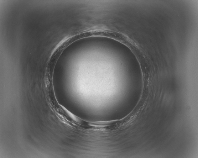 X0000080661400200612151119