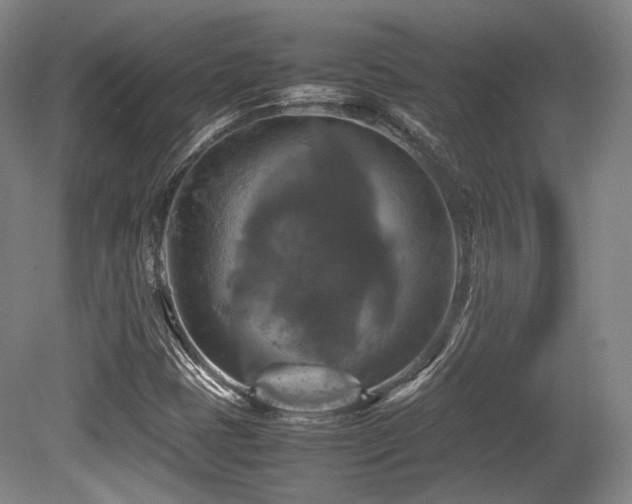 X0000080661401200612151119