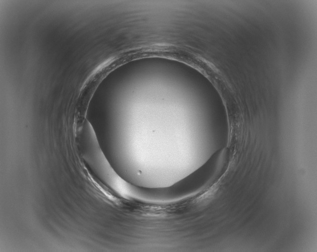 X0000080661402200612151119