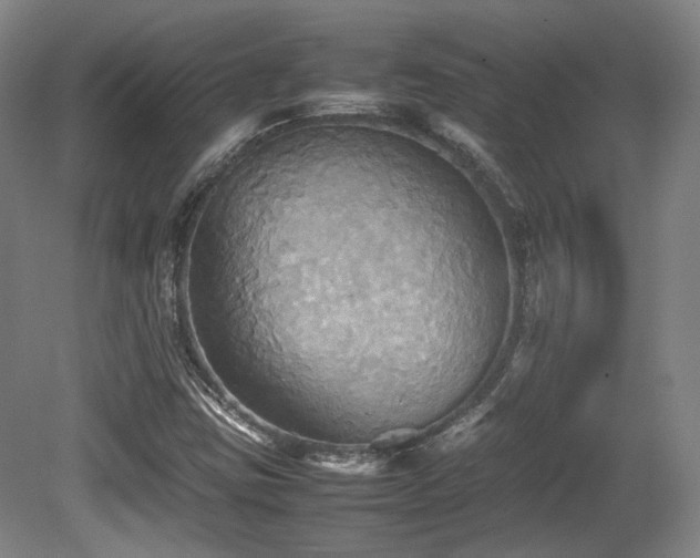 X0000080661403200612151119