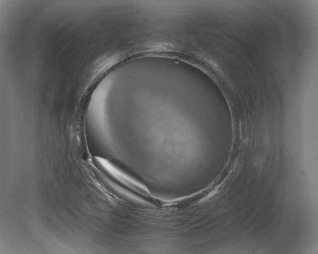 X0000080661405200612151119