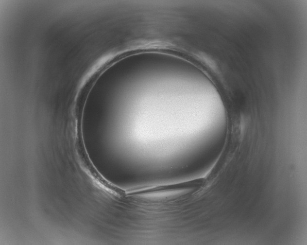 X0000080661414200612151119