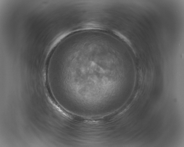 X0000080661415200612151119