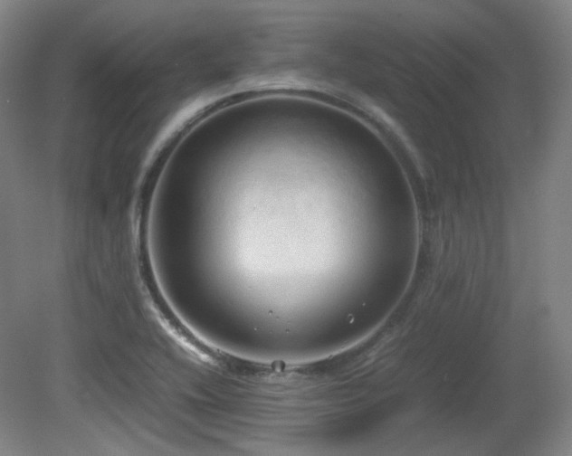 X0000080661416200612151119