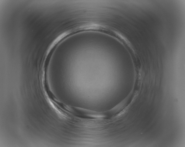 X0000080661418200612151119