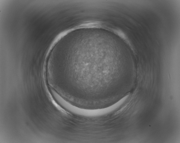 X0000080661421200612151119