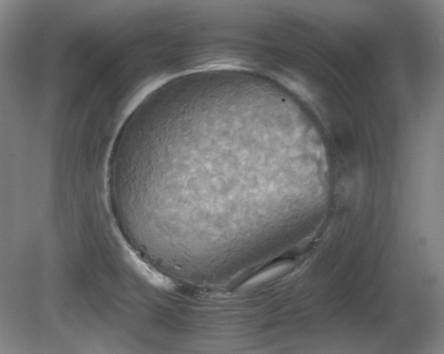 X0000080661423200612151119