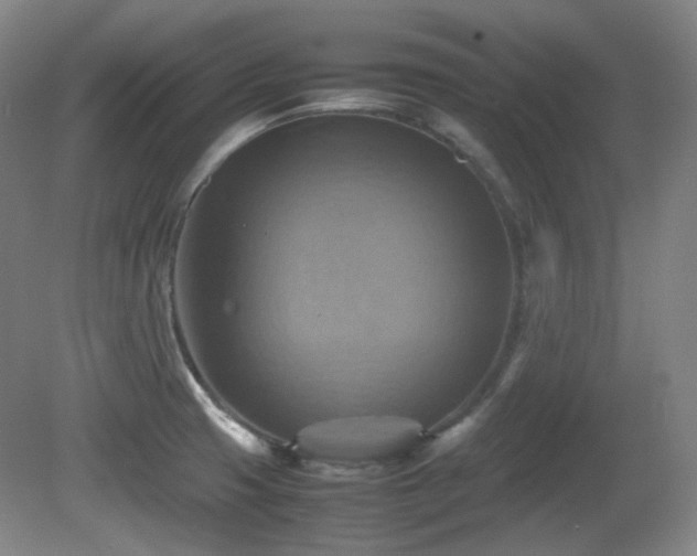 X0000080661425200612151119