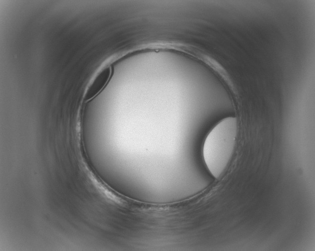 X0000080661428200612151119
