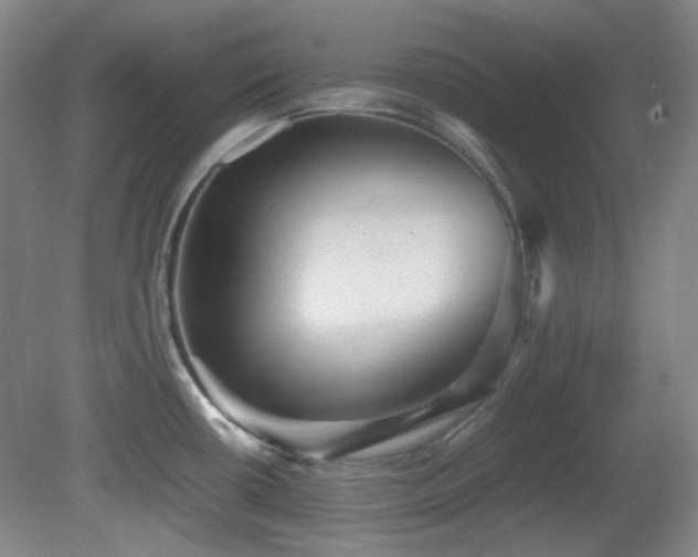 X0000080661434200612151120