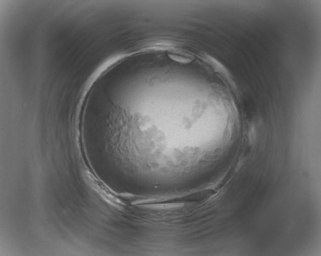 X0000080661435200612151120