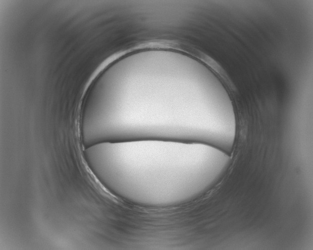X0000080661436200612151120