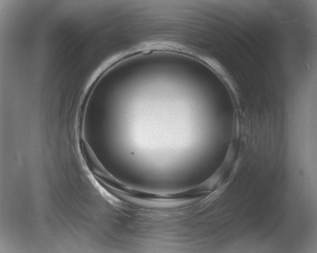 X0000080661438200612151120