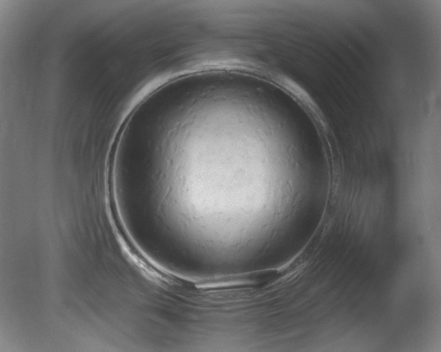 X0000080661439200612151120