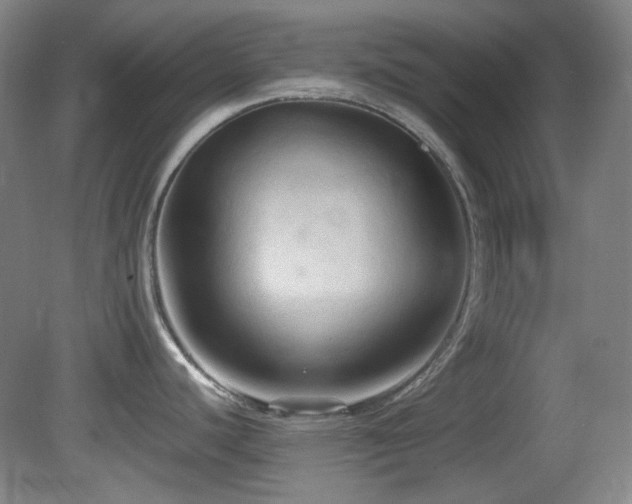 X0000080661440200612151120