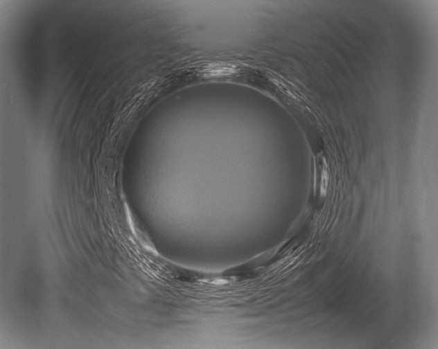 X0000080661441200612151119