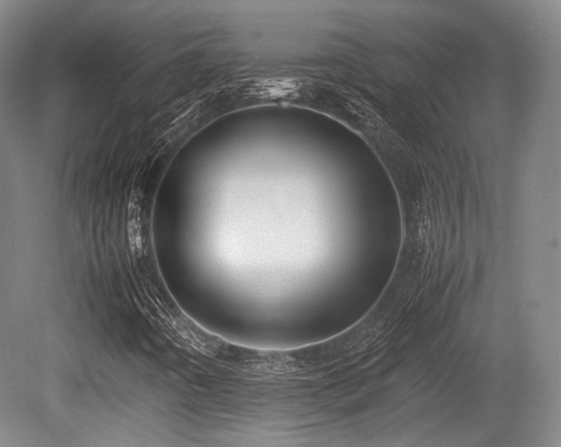 X0000080661442200612151119