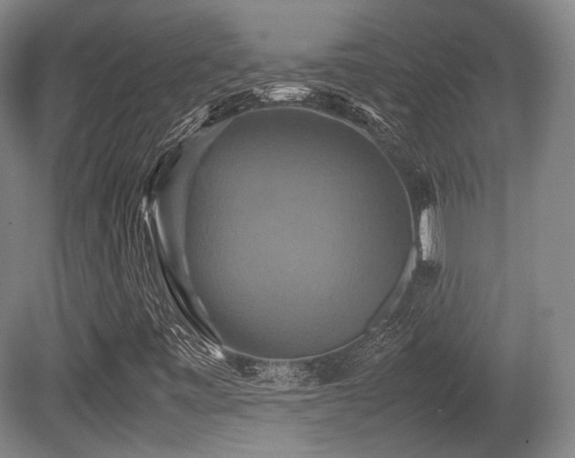 X0000080661443200612151119