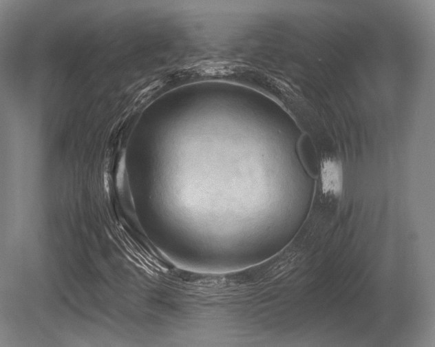 X0000080661444200612151119