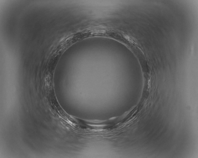 X0000080661445200612151119