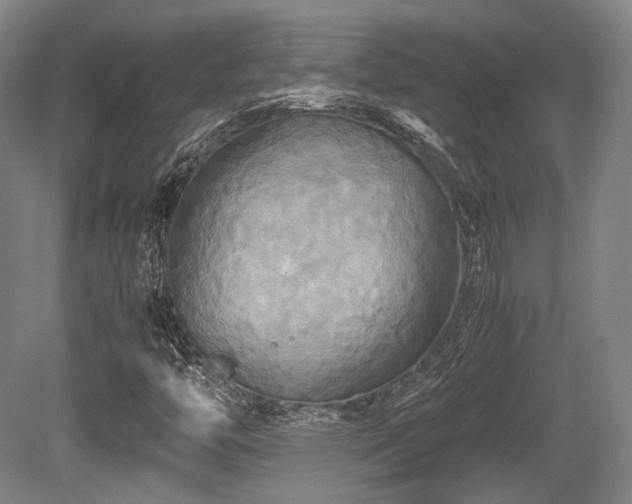 X0000080661446200612151119