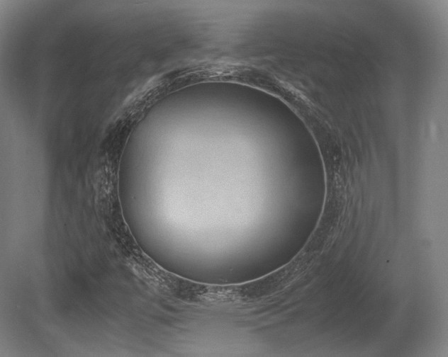 X0000080661447200612151119