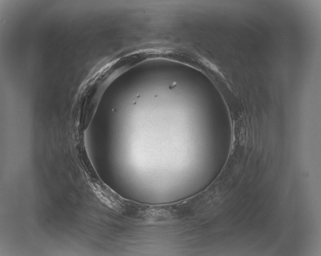X0000080661448200612151119