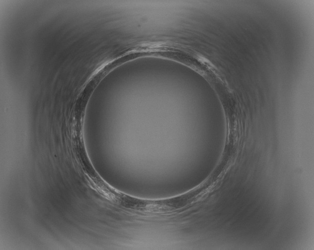 X0000080661449200612151119