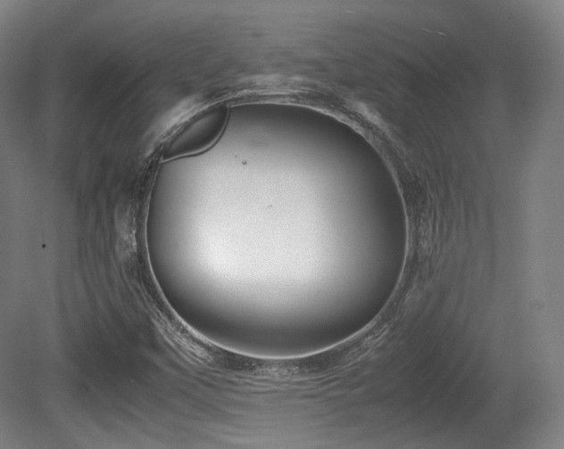X0000080661451200612151119