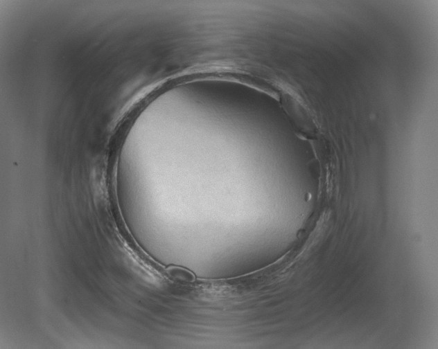 X0000080661452200612151119