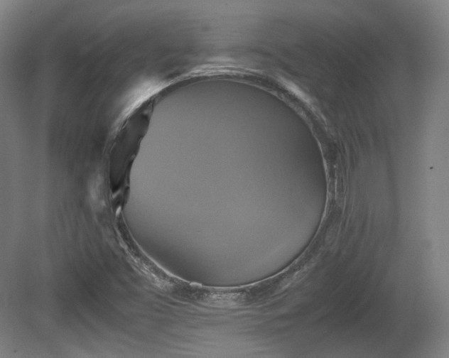 X0000080661453200612151119