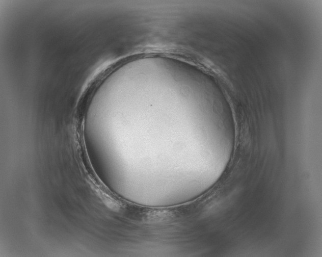 X0000080661454200612151119