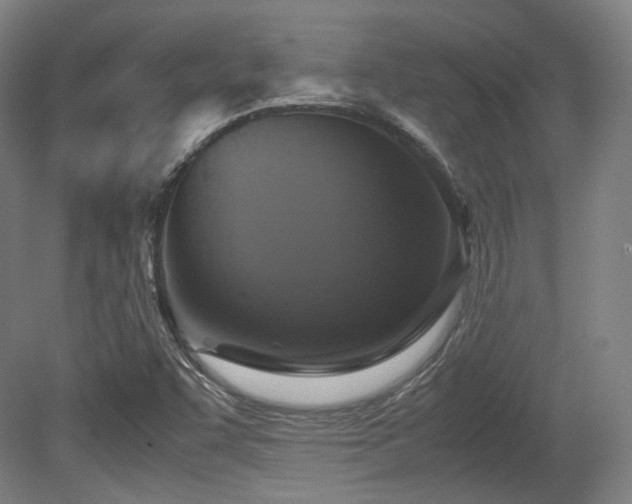 X0000080661455200612151119