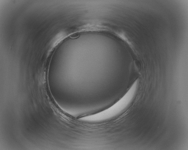X0000080661459200612151119