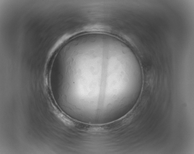 X0000080661462200612151118