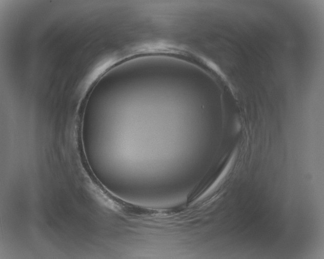 X0000080661463200612151118