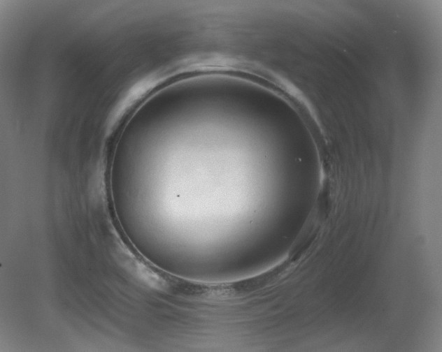 X0000080661464200612151118