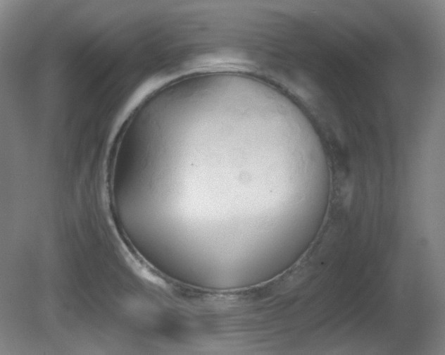 X0000080661470200612151118
