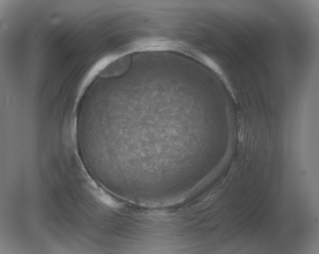 X0000080661472200612151118