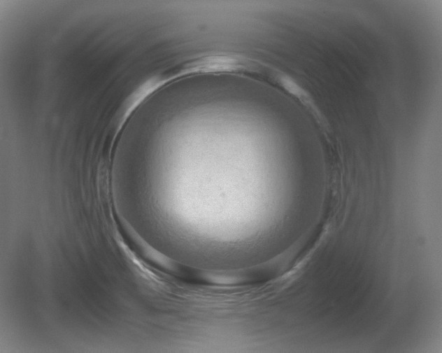 X0000080661473200612151118