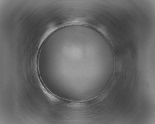 X0000080661474200612151118