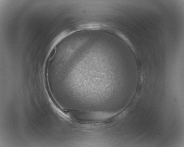 X0000080661475200612151118