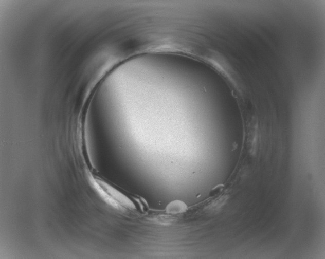 X0000080661476200612151118